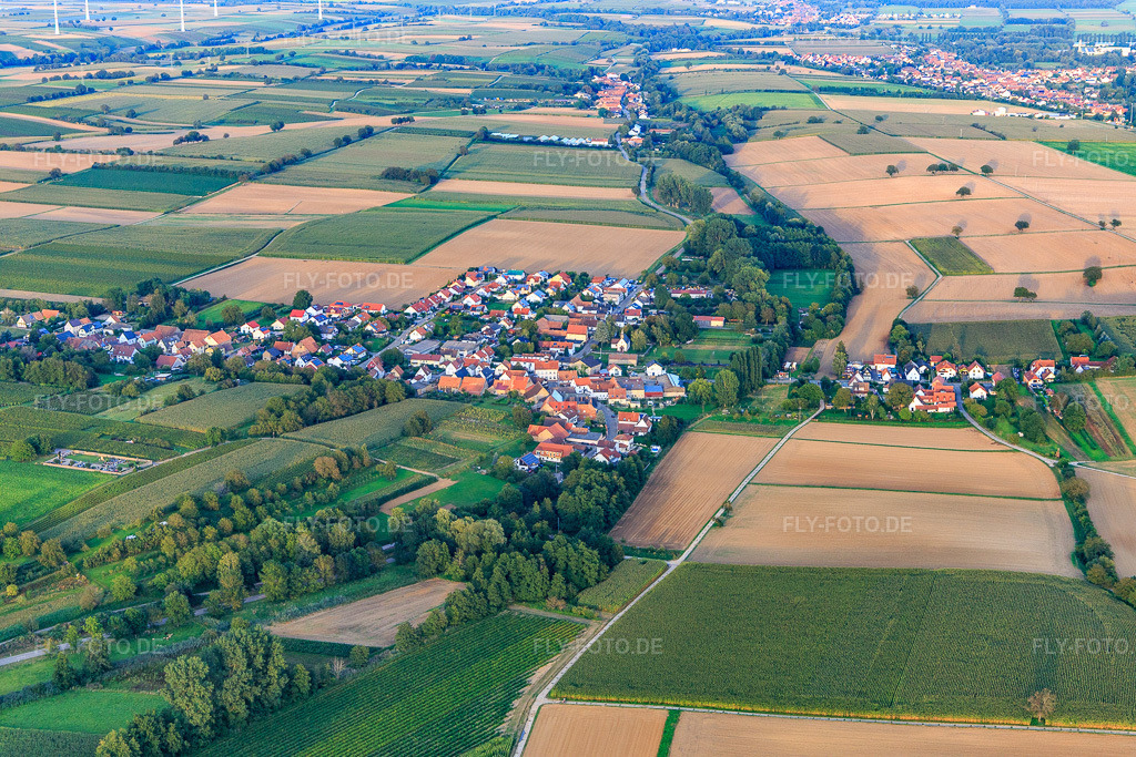 Luftbild: Ortsansicht von Westen im Ortsteil Kleinsteinfeld in Niederotterbach im Bundesland Rheinland-Pfalz in Deutschland. Foto: IMG_129380.jpg vom 12.09.2021 durch Werner Riehm/FLY-FOTO.de