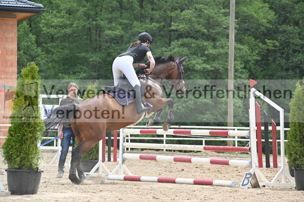 DSC_8483 | equestrian-live-com