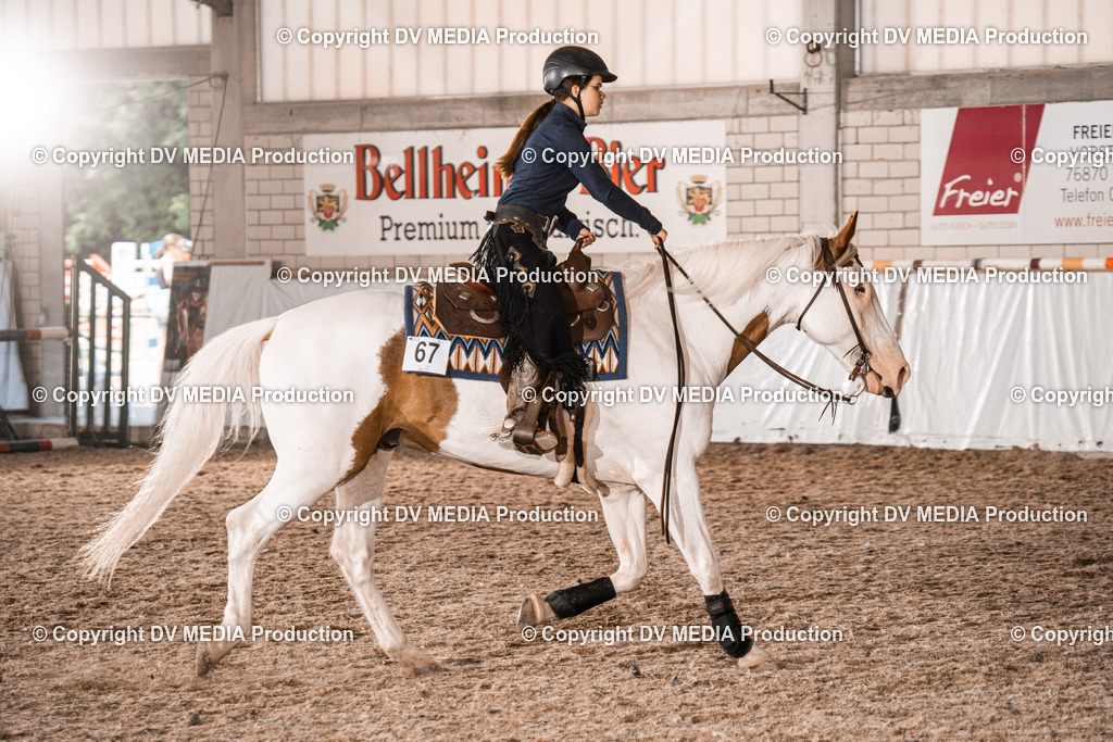 ZH300597 | dv-media-shop - Realisiert mit Pictrs.com