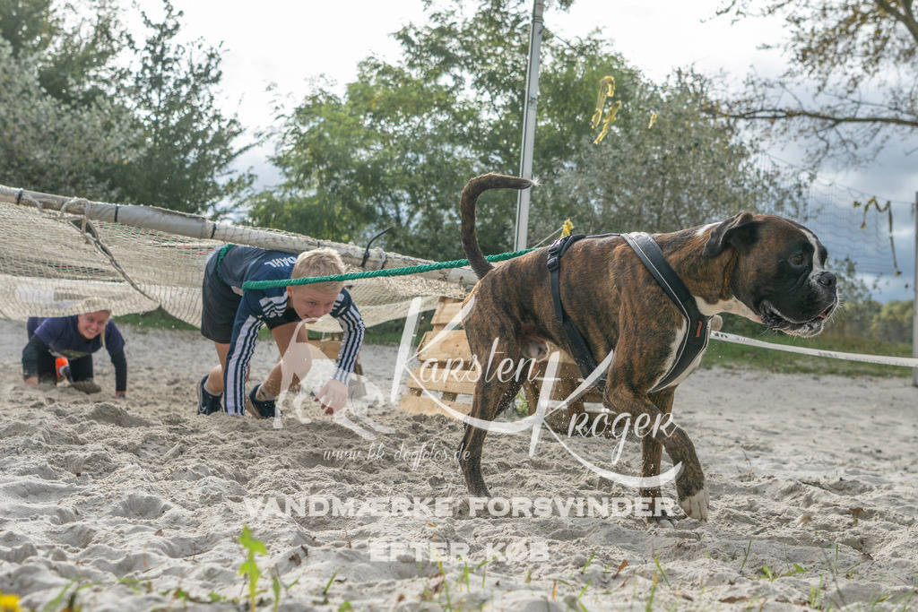 1145_ZZ99197 | kk-dogfotos
