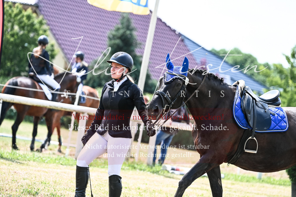 DSC_9199 | Pferde- und Turnierfotografie in Westsachsen. Pferdeportraits, Auftragszeichnungen und intuitive Kunst.