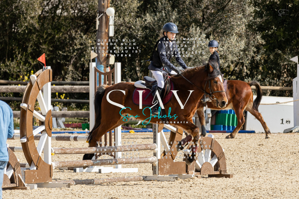 IMG_4382 | s-jay-photography - Realisiert mit Pictrs.com