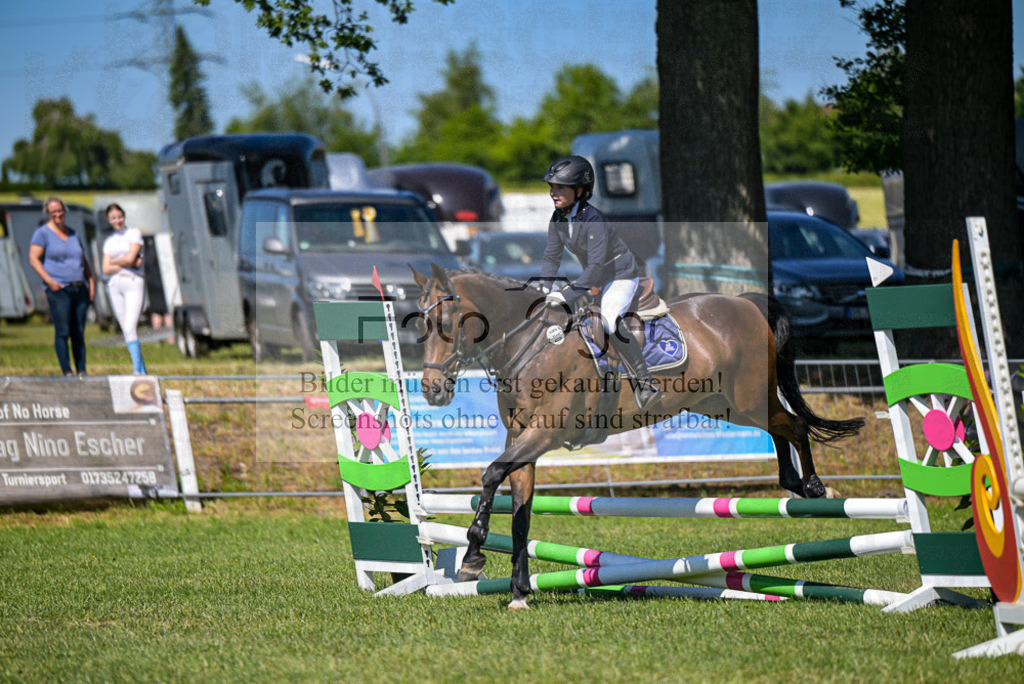 Reitturnier Voxtrup | Entdecke hochwertige Reitturnierfotos von Foto Oger. Professionell, emotional und authentisch – jetzt Lieblingsmomente im Shop bestellen.Deutschlandweite Turnierfotografie. - Realisiert mit Pictrs.com