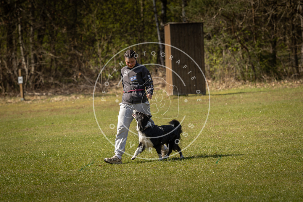 Pfotenfotografie_DV3A1159 | Hundefotografie, Tierfotograf, Pfotenfotografie, Fotoshooting Hund, Hunde Portrait, Hundesport, Hundeportraits, Heideshooting, Hunde, Sportfotograf, Hundefotograf, Turnierhundsport, THS,  - Realisiert mit Pictrs.com