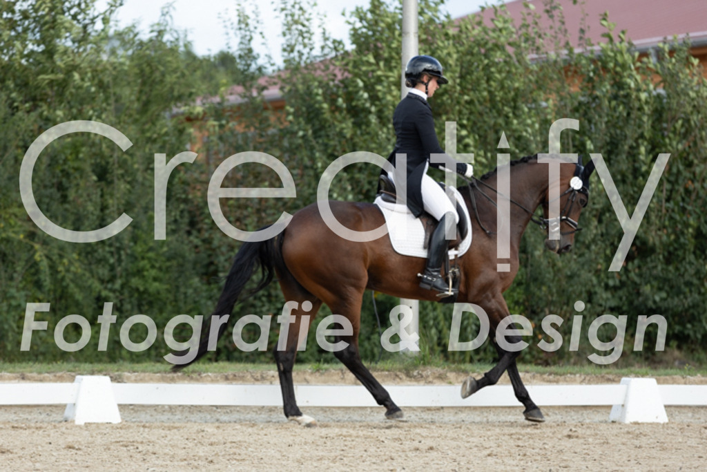 IMG_7132 | Creatify Fotografie