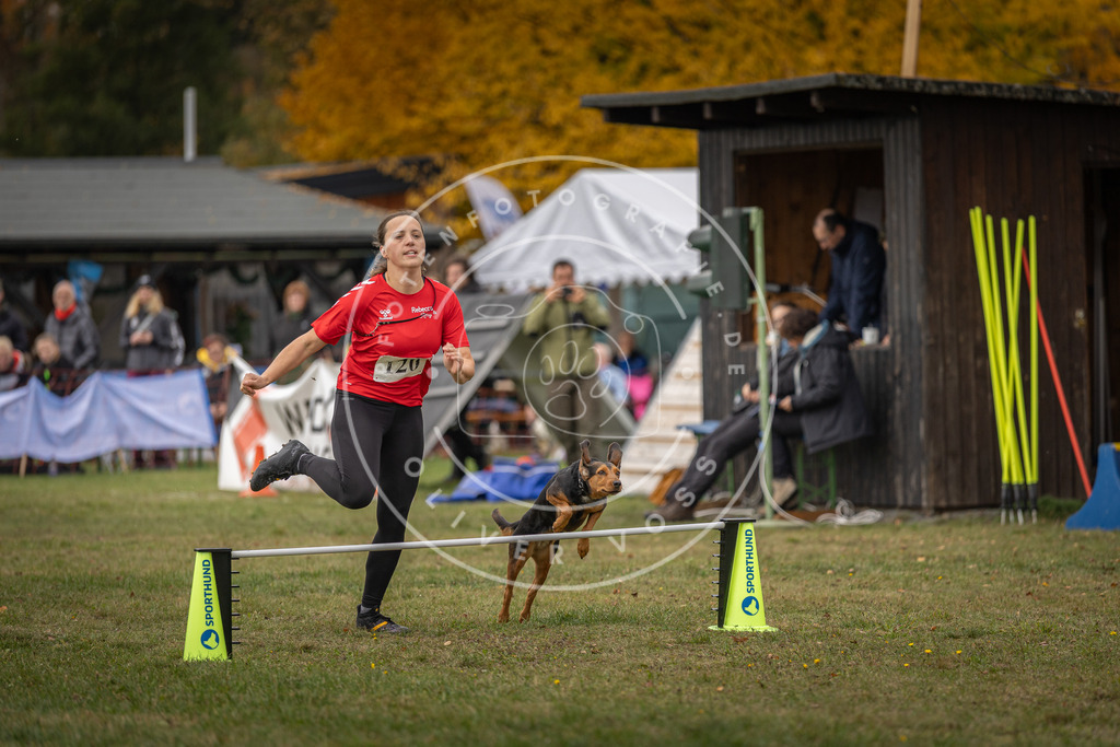 Pfotenfotografie_DV3A7262 | Hundefotografie, Tierfotograf, Pfotenfotografie, Fotoshooting Hund, Hunde Portrait, Hundesport, Hundeportraits, Heideshooting, Hunde, Sportfotograf, Hundefotograf, Turnierhundsport, THS,  - Realisiert mit Pictrs.com