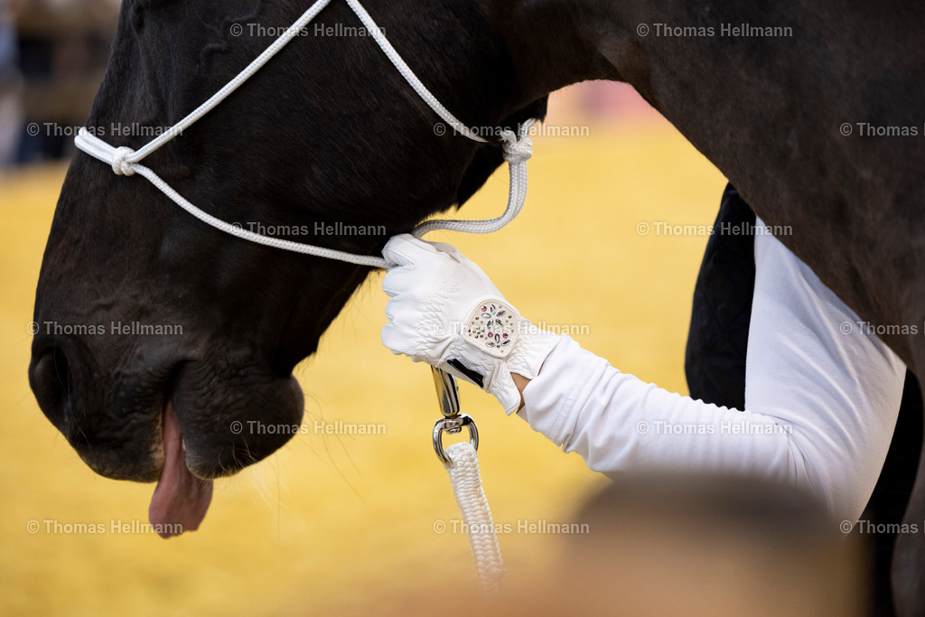 TH_Detail_26548 | EQUITANA 2025 am 07.03.25 in Essen