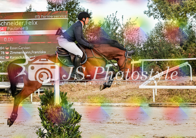 20250829_Springpferdeprfg Kl.L 115cm-24 | JS-Photostyle - Sport-/Portrait- & Eventfotografie