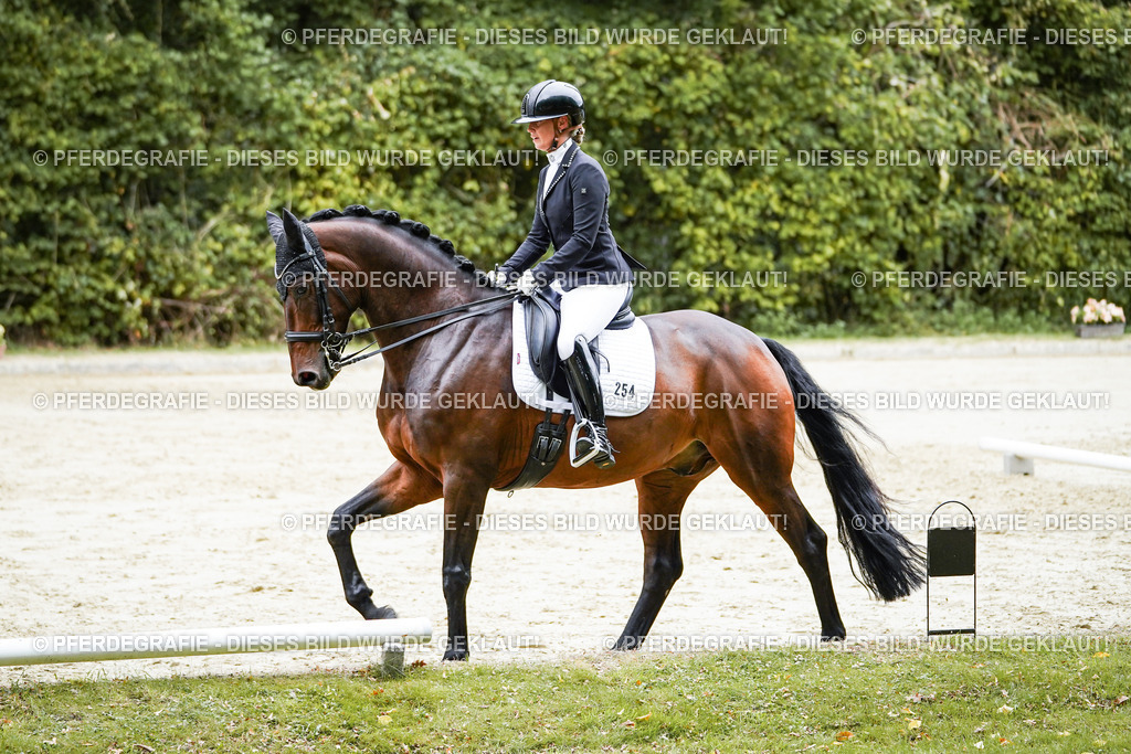 DSC09748 | Pferdegrafie