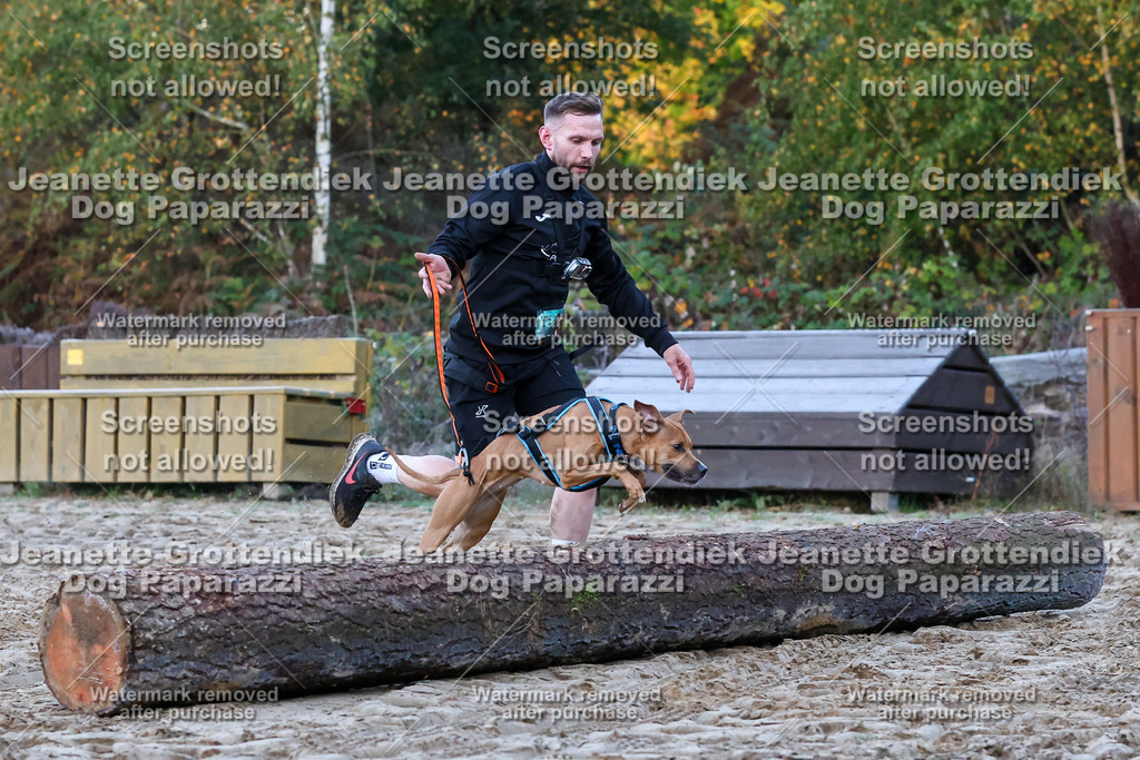 Dog Paparazzi - Strongdog 10-25-93 | Dog Paparazzi Jeanette Grottendiek Fotografie & Videografie - Realisiert mit Pictrs.com