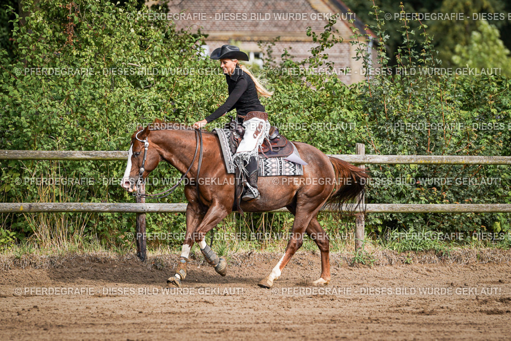 DSC09745 | Pferdegrafie