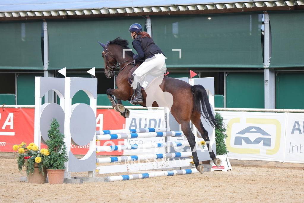0P6A1784 | Willkommen bei Brunnmayr - Design & Fotografie – Ihrem Spezialisten für Reitturniere und Pferdeveranstaltungen in Oberösterreich, Salzburg und Bayern! Seit über 17 Jahren sind wir leidenschaftlich dabei.