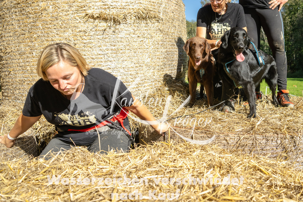 1254_ZZ92639-2 | kk-dogfotos