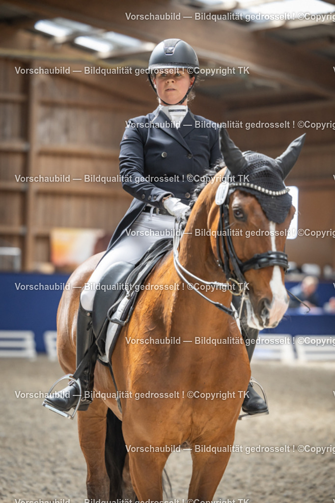 _D5A9928 | Emotionale Pferde- & People-Fotografie rund um Heidelberg, Leimen & Umgebung. Natürliche Fotos von Pferd, Mensch & Familie. Jetzt Termin sichern!