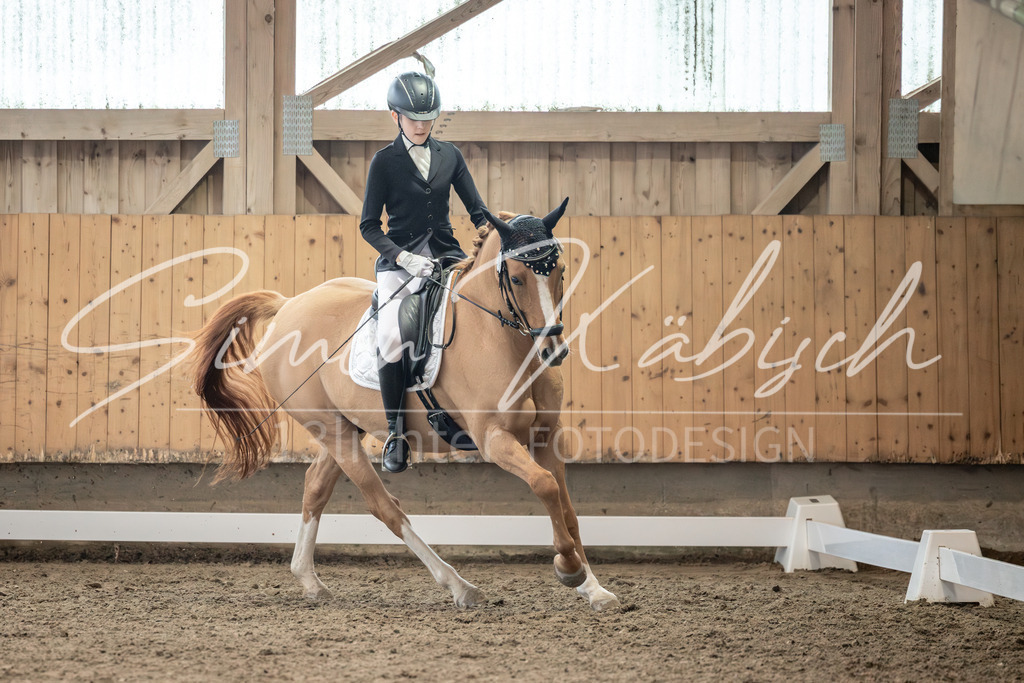 20251011-_3LI6735 | Tierfotografie Pferde, Hunde, Katzen, Haustiere.
Turnierfotografie Reitturniere, Reiten, Springreiten, Dressur in Hanau, dem Main-Kinzig-Kreis und dem Rhein-Main- Gebiet um Frankfurt