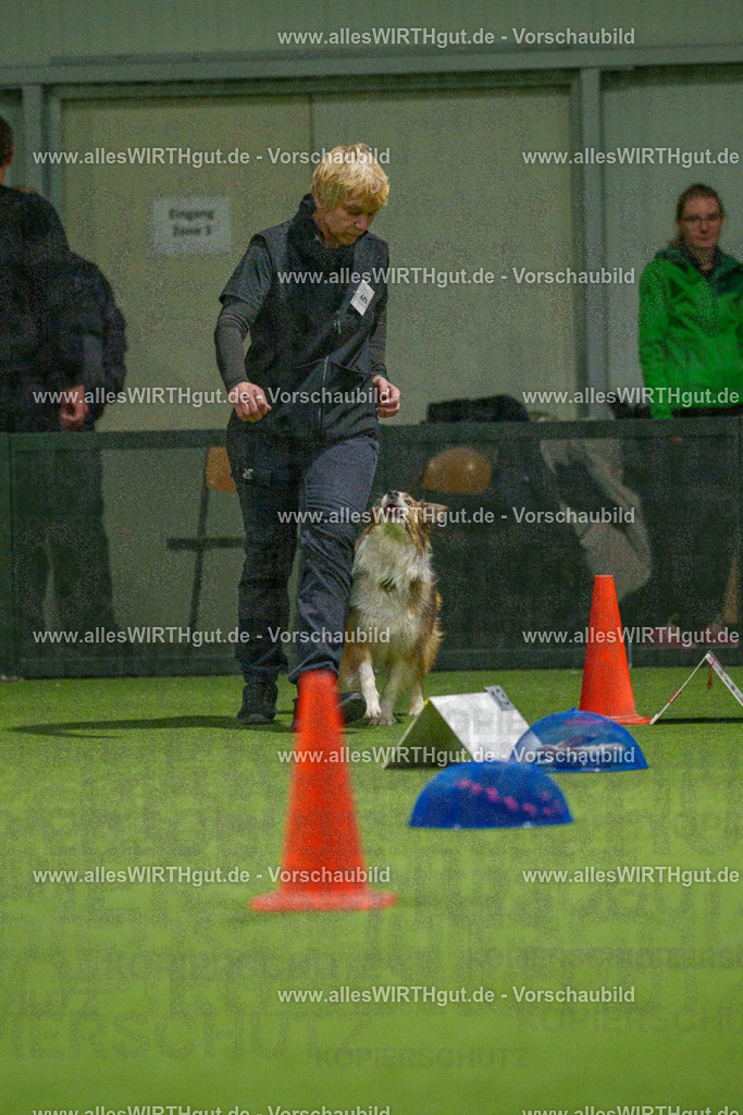 7R504364 | Professionelle Tierfotografie in Mönchengladbach von Daniel Wirth (allesWIRTHgut). Liebevolle & natürliche Bilder von Hunden & Katzen für unvergessliche Erinnerungen.