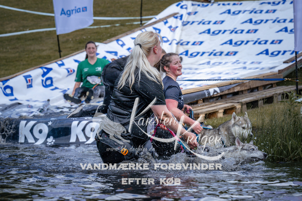 _ZZ911990912 | kk-dogfotos