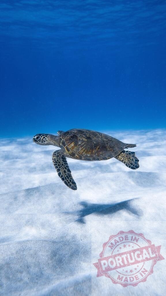 Sea turtle swimming over sandy seabed underwater | Sea turtle swimming gracefully over a pristine white sandy seabed in clear blue tropical water - Realized with Pictrs.com