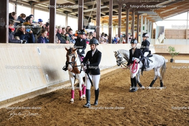 JugendTrophy.II0131 | Fotografie, Tiere, Hunde, Katzen, Pferde, Sportfotografie, Fotosession, Tierfotografie, Turnierfotografie, Fotografin, Fotograf - Realisiert mit Pictrs.com
