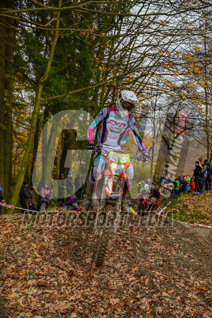 NZ8_6737 | grenznic640