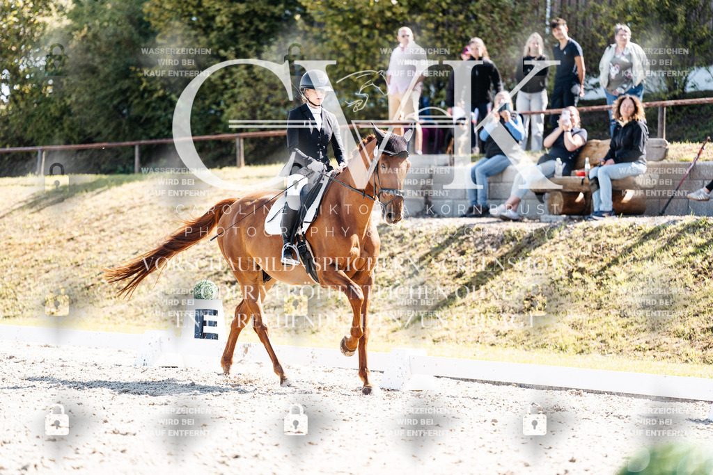 CK902864 | Turnierfotografie Pferdefotografie Trier Rheinland-Pfalz Pferdesport Reitsport Tierfotografie Sportfotografie Pferdevideo Pferdevideografie Equestrianvideography equestrianphotography  - Realisiert mit Pictrs.com