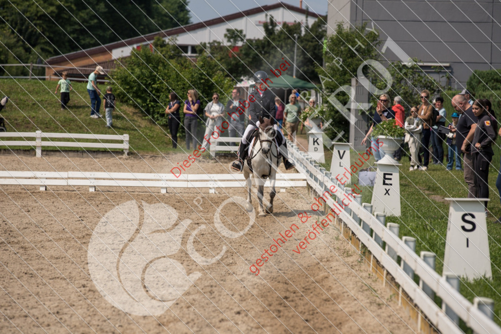 IMG_3237 | Sport-, Event- und Tierfotos in Profiqualität. Einfach auswählen, bestellen und herunterladen. Dein Moment – perfekt festgehalten.