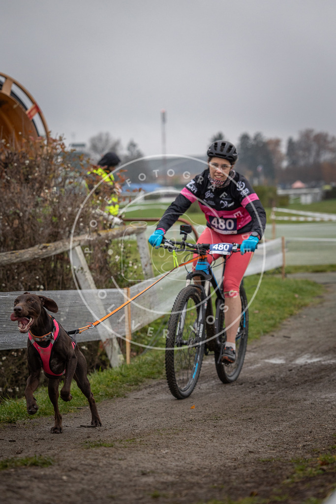 CaniXpix_0L8A1754 | Hundefotografie, Tierfotograf, Pfotenfotografie, Fotoshooting Hund, Hunde Portrait, Hundesport, Hundeportraits, Heideshooting, Hunde, Sportfotograf, Hundefotograf, Turnierhundsport, THS,  - Realisiert mit Pictrs.com