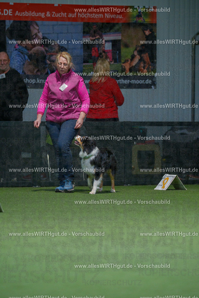 7R505909 | Professionelle Tierfotografie in Mönchengladbach von Daniel Wirth (allesWIRTHgut). Liebevolle & natürliche Bilder von Hunden & Katzen für unvergessliche Erinnerungen.