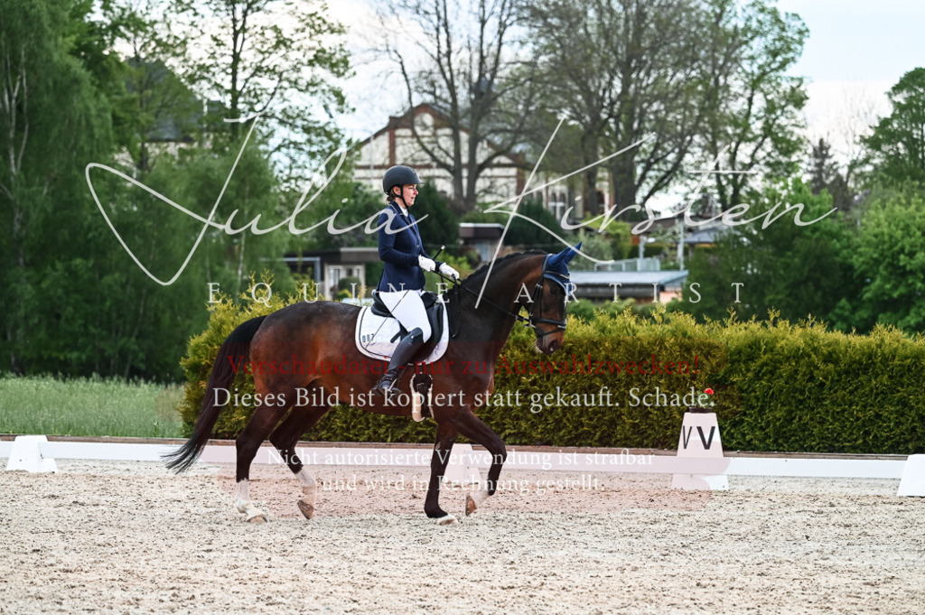 20230513_JK-Röhrsdorf-11-211 | Pferde- und Turnierfotografie in Westsachsen. Pferdeportraits, Auftragszeichnungen und intuitive Kunst.