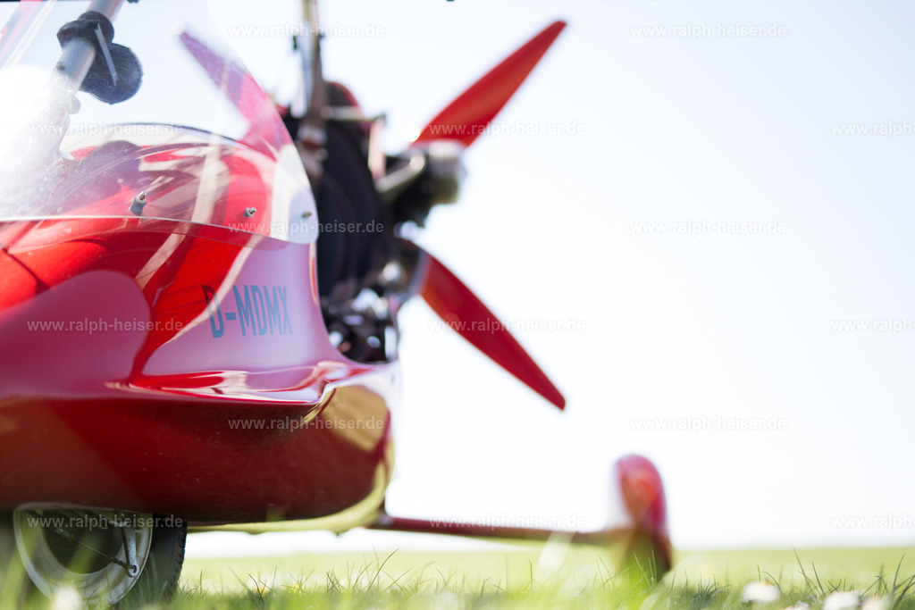 IMG_4837 | Wandbilder, Bilder, Fotograf in Marburg, Tierbilder, Wandfotos, Bilder Shop, Günstige Bilder, Schwarz-Weiß Bilder, Ralph Heiser