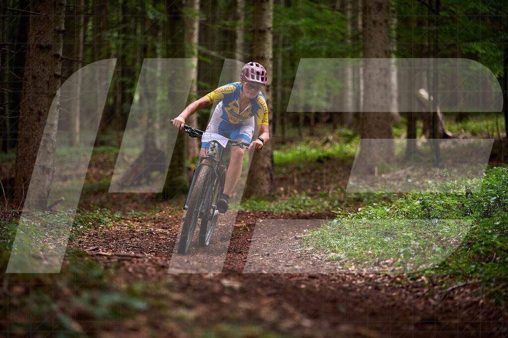 Betriebszentrum Laubenbachmühle, Frankenfels, Österreich - 13. September 2025: Dirndltal Race - Fun und Trophy RaceFotograf: Martin Bihounek / martinbihounek.com | 13. September 2025 Betriebszentrum Laubenbachmühle, Frankenfels, Österreich : Dirndltal Race - Fun und Trophy Race •••••Photo by: Martin Bihounek / martinbihounek.comInsta: @martinbihounekcom