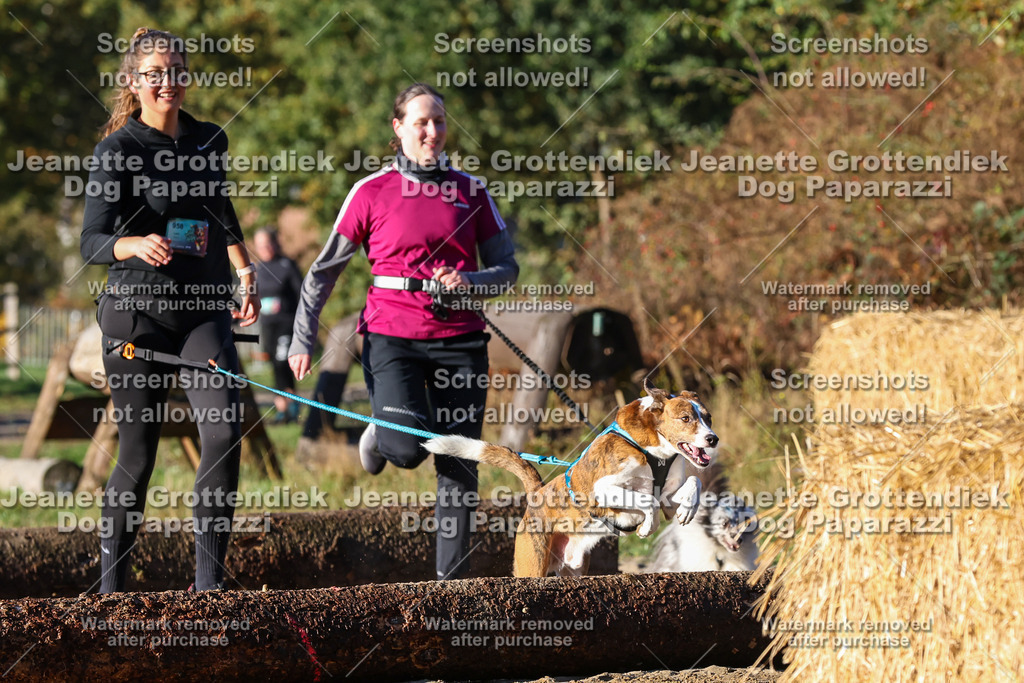 Dog Paparazzi - Strongdog 10-25-1194 | Dog Paparazzi Jeanette Grottendiek Fotografie & Videografie - Realisiert mit Pictrs.com