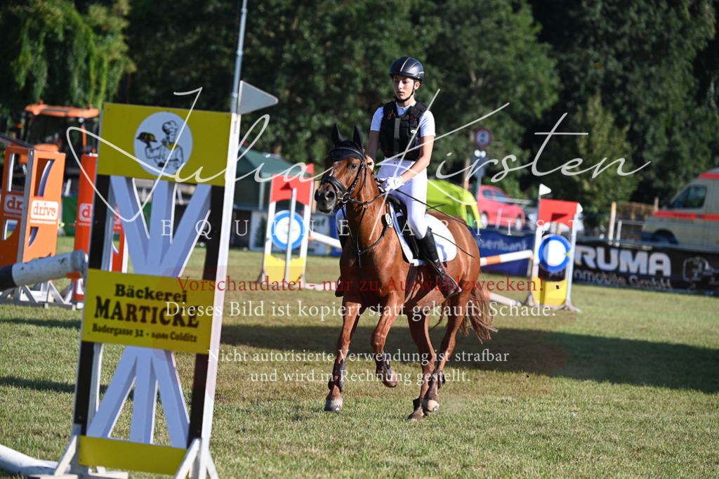 DSC_4802 | Pferde- und Turnierfotografie in Westsachsen. Pferdeportraits, Auftragszeichnungen und intuitive Kunst.
