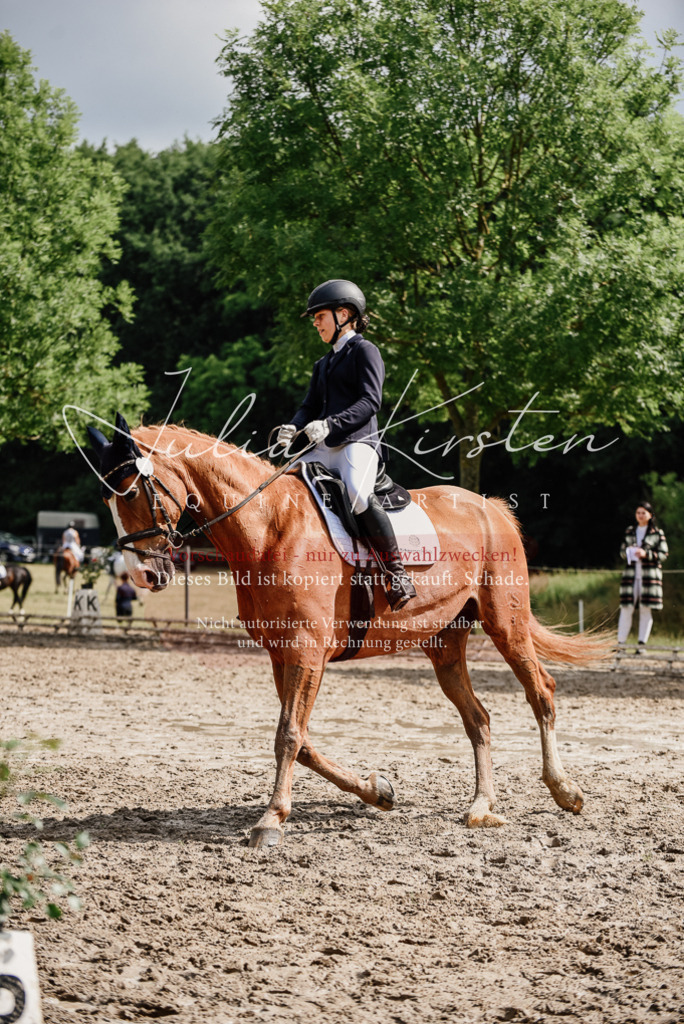 DSC_9991 | Pferde- und Turnierfotografie in Westsachsen. Pferdeportraits, Auftragszeichnungen und intuitive Kunst.