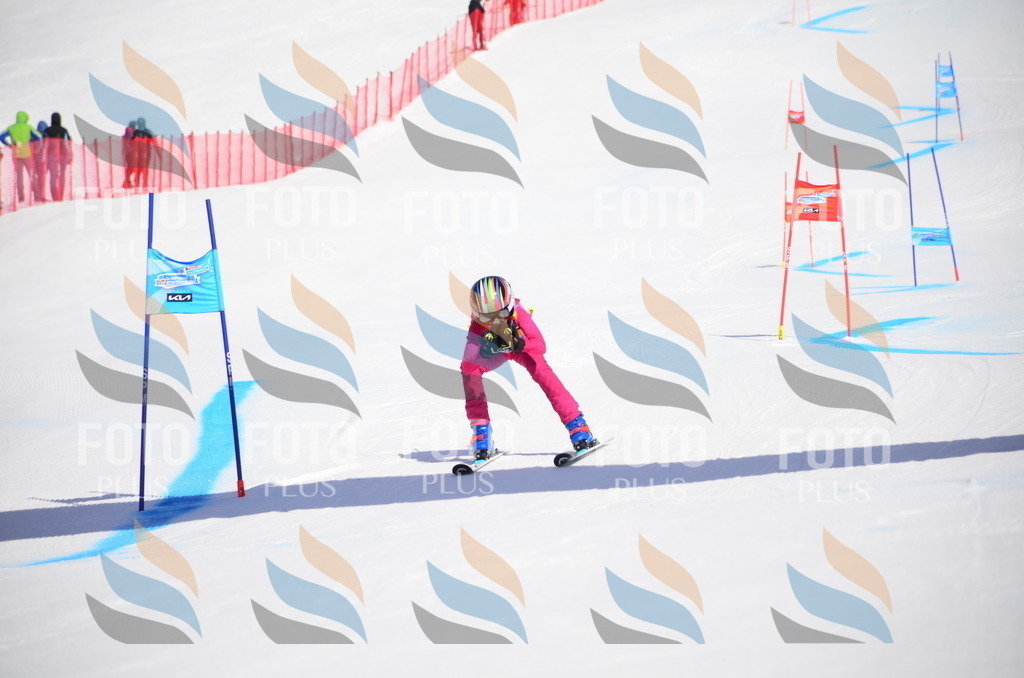 VR4_9920 | holidayphoto