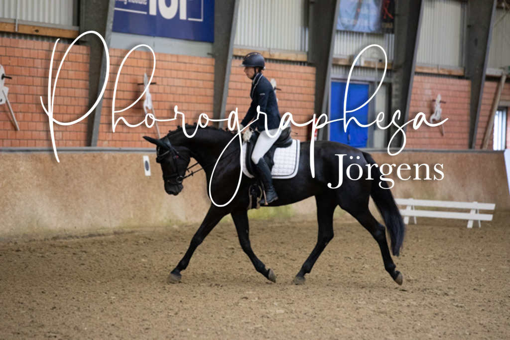 IMG_0395 | photographesa-joergens - Realisiert mit Pictrs.com