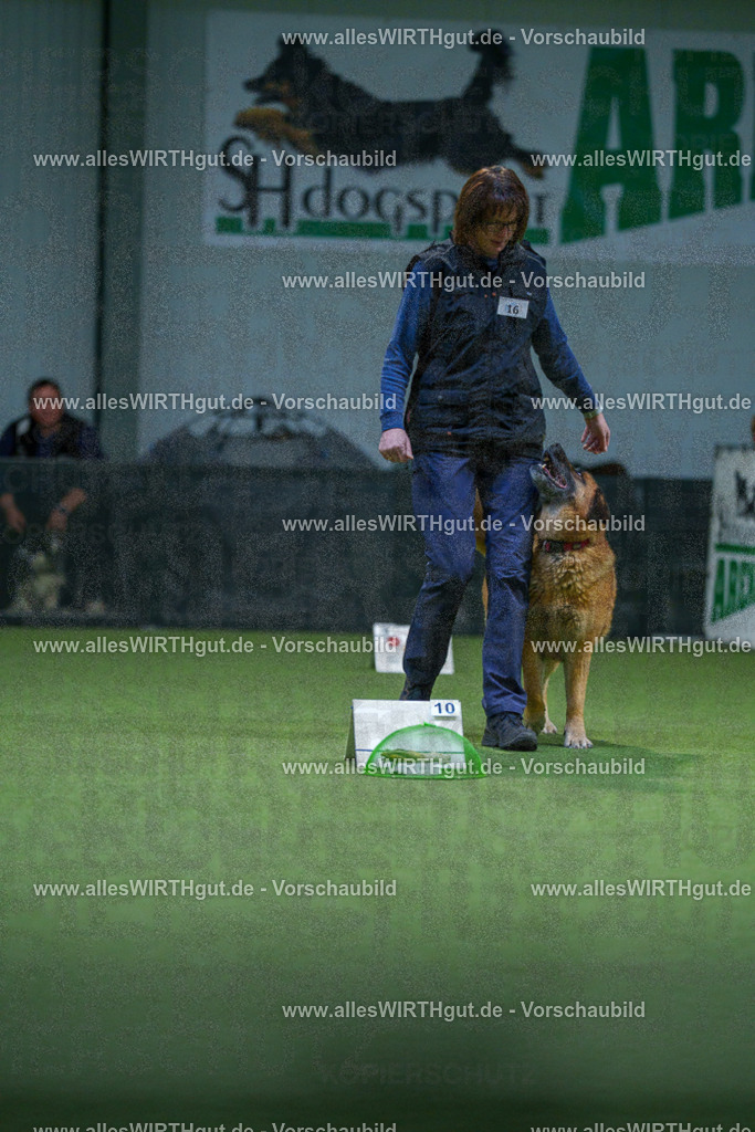 7R500649 | Professionelle Tierfotografie in Mönchengladbach von Daniel Wirth (allesWIRTHgut). Liebevolle & natürliche Bilder von Hunden & Katzen für unvergessliche Erinnerungen.