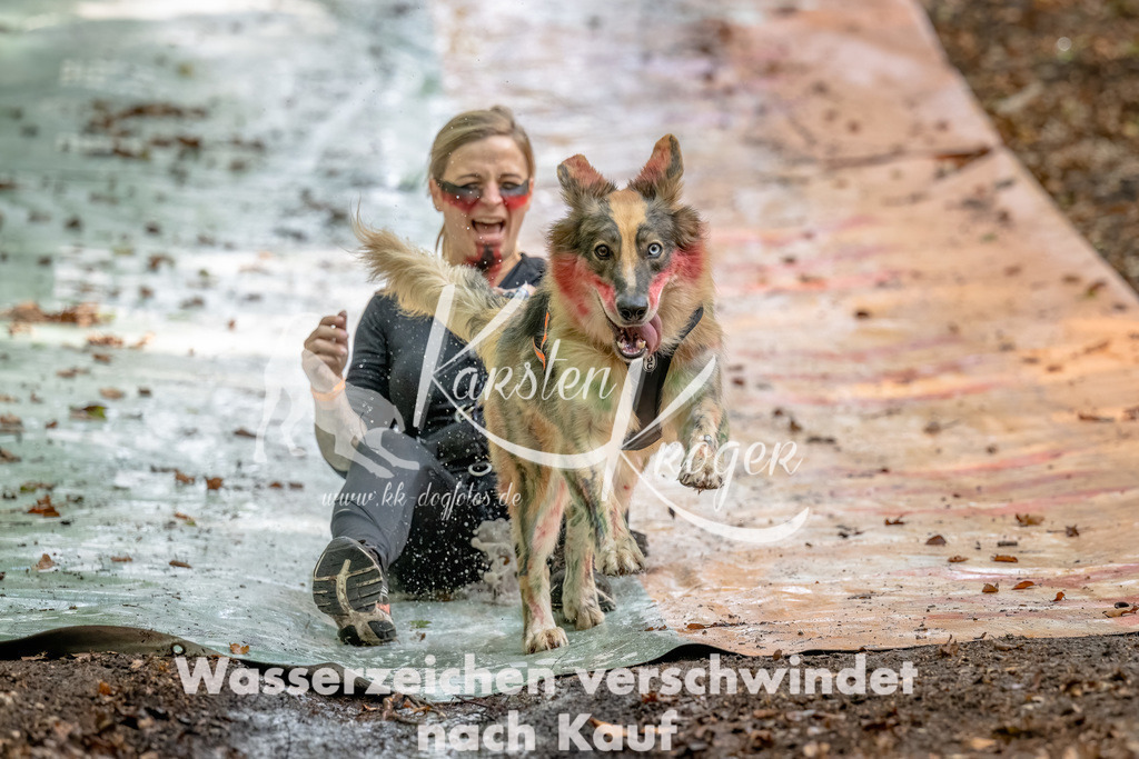 1149_ZZ92804-Bearbeitet | kk-dogfotos