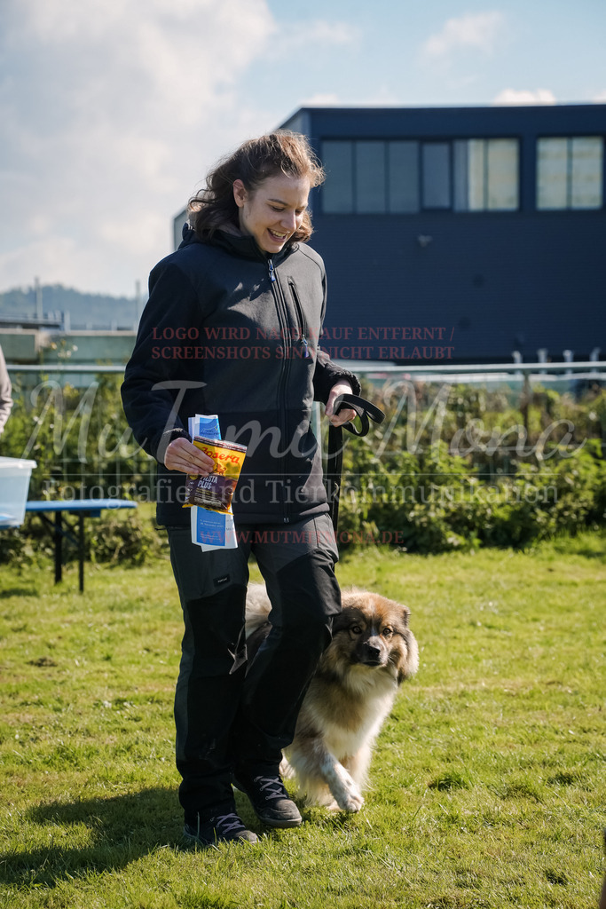 20250928_Hunderennen-748 | MuT (Mensch und Tier) mit Mona - Fotografie und Tierkommunikation - Realisiert mit Pictrs.com