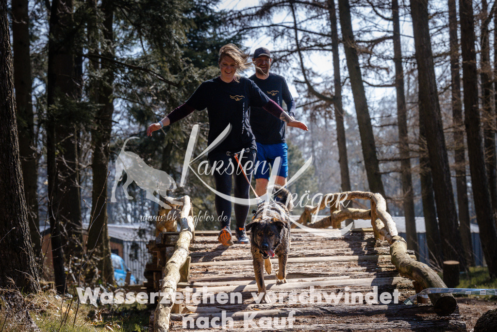 1312_ZZ94679 | kk-dogfotos