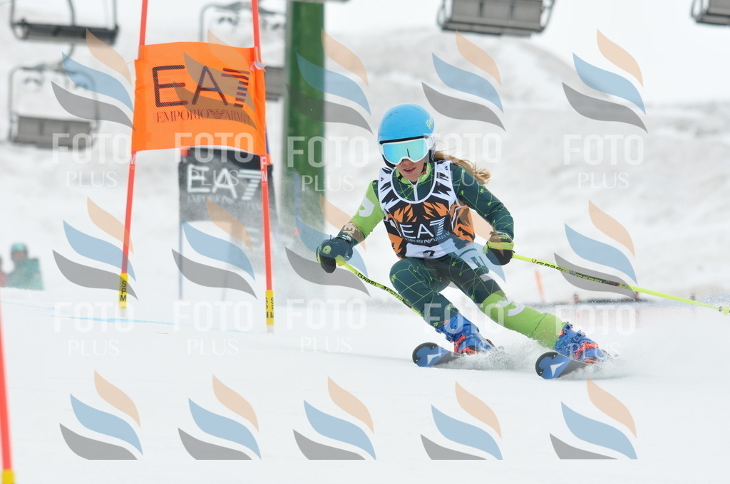 DSC_8767 | holidayphoto