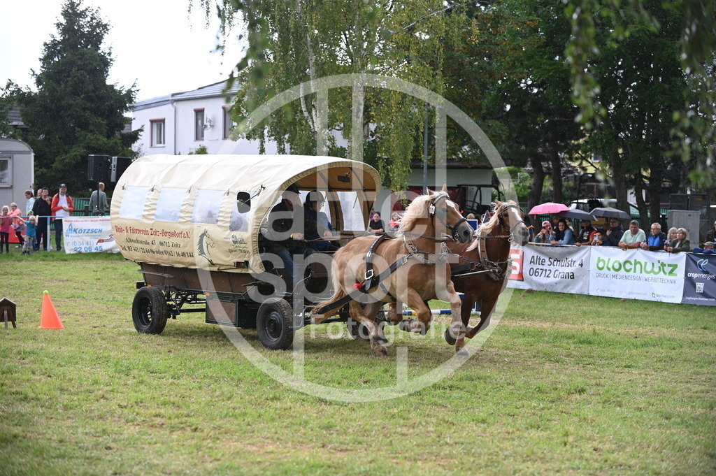 DSC_8702 | sattelsport - Realisiert mit Pictrs.com