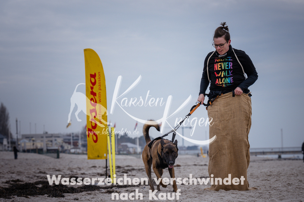 1211_ZZ92427 | kk-dogfotos