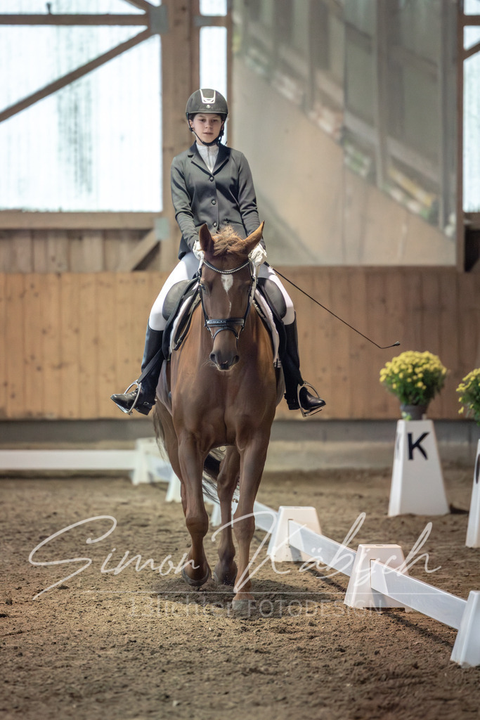 20251011-_3LI5839 | Tierfotografie Pferde, Hunde, Katzen, Haustiere.
Turnierfotografie Reitturniere, Reiten, Springreiten, Dressur in Hanau, dem Main-Kinzig-Kreis und dem Rhein-Main- Gebiet um Frankfurt