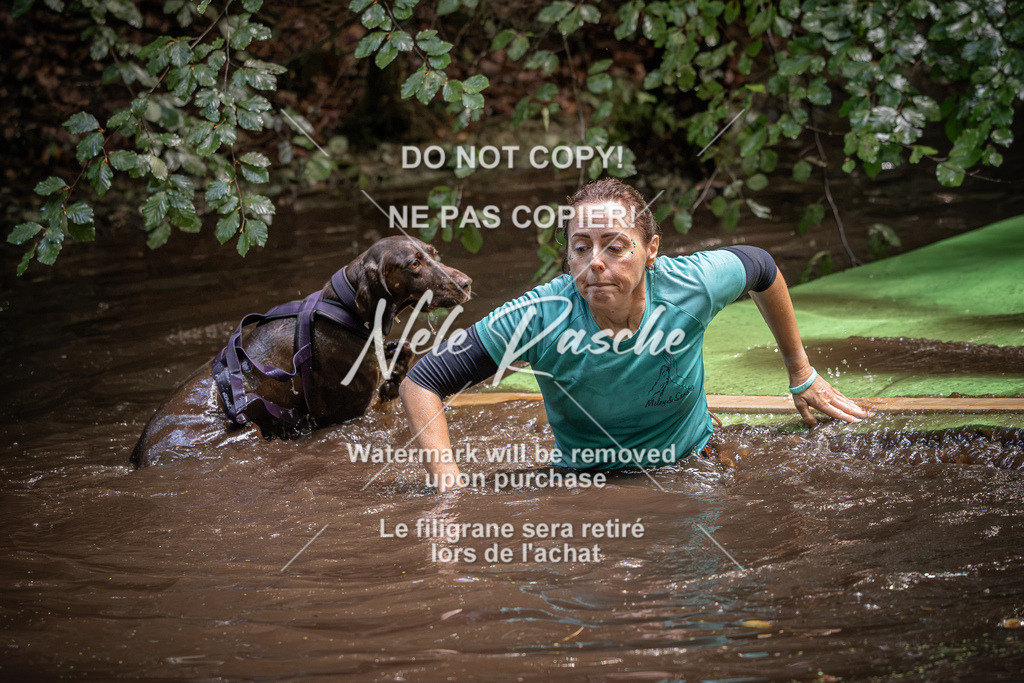 nelerasche_Wingst_Sa1330-1400_251 | nelerasche