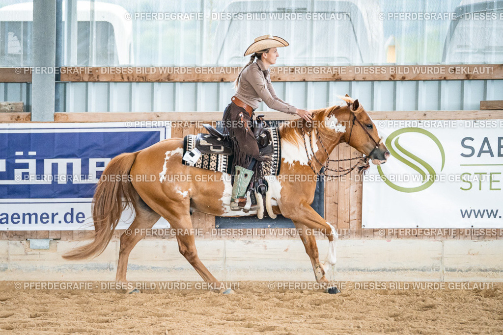 DSC00289 | Pferdegrafie