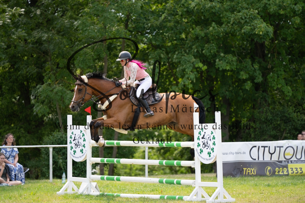 A7V07474 | Pferdefotograf