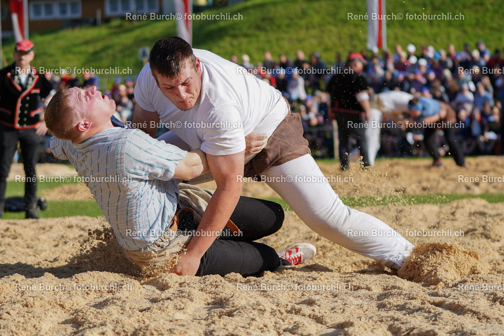 20220515-DSC06256-4 | René Burch leidenschaftlicher Fotograf aus Kerns in Obwalden.  Hier finden sie Sport, Landschaft und Natur Fotografie.
 - Realisiert mit Pictrs.com