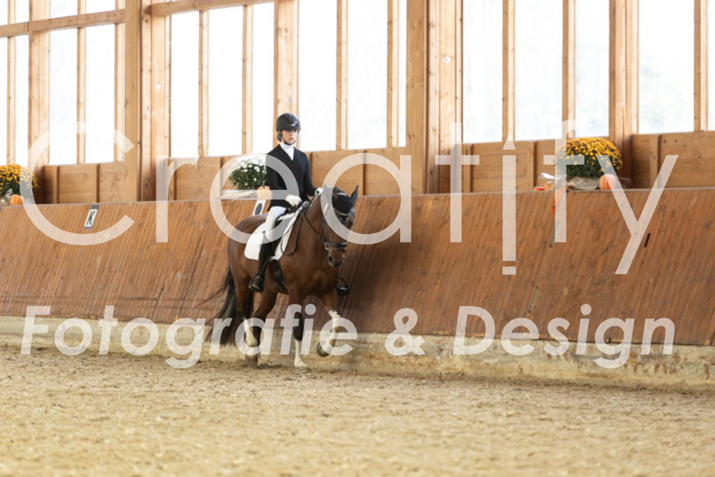 IMG_6064 | Creatify Fotografie