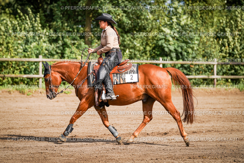 DSC09592 | Pferdegrafie